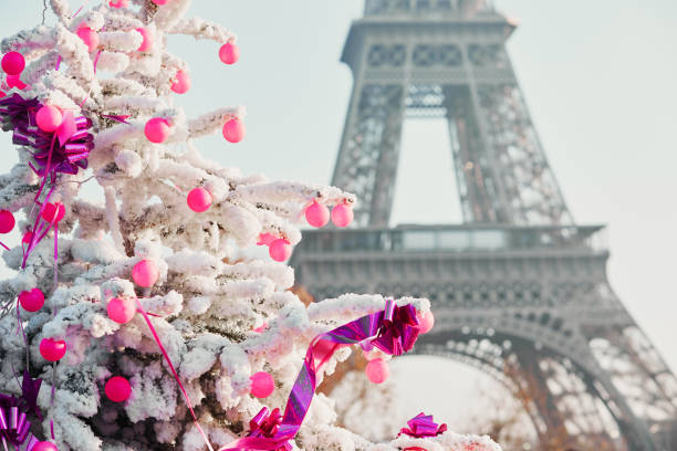istock Christmas tree covered with snow near Eiffel tower in Paris 856362646