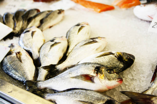 istock Fish exposed in  fish shop on counter 856362654