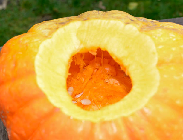 istock halloween pumpkin and pumpkin seeds 856375686