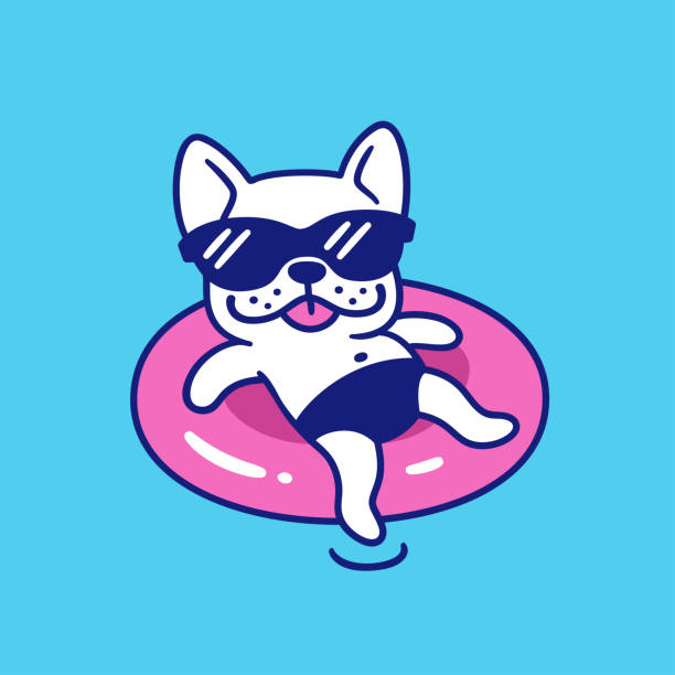 Funny French bulldog in sunglasses Funny French bulldog in sunglasses with pool float. Cute cartoon dog on summer pool party. Vector illustration. cute entertainment stock illustrations