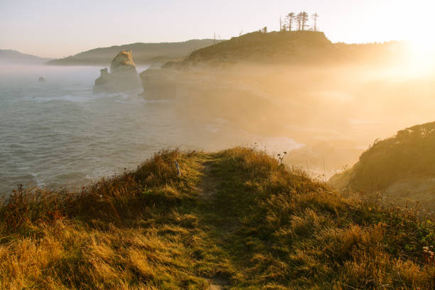istock Sunrise On the Pacific Ocean Oregon Coast 856403716