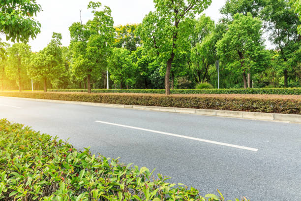 istock Country asphalt road through the green forest 856407642