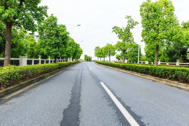 istock Country asphalt road through the green forest 856409894