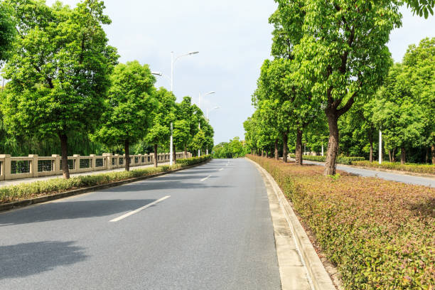 istock Country asphalt road through the green forest 856409964