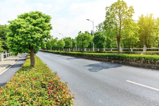 istock Country asphalt road through the green forest 856410224