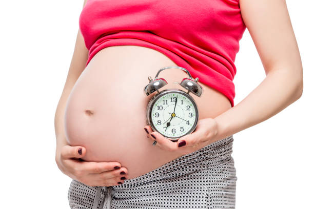 istock big pregnant belly and alarm clock closeup isolated on white background 856410892