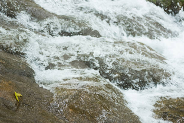 istock water flowing on rock in mountain creek. natural landscape of stream 856411056