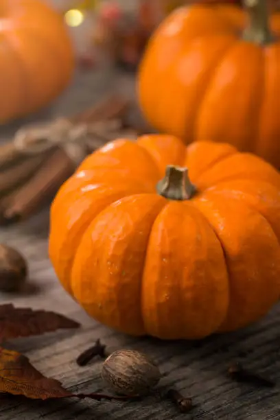 Pumpkin with cinnamon spice, nutmeg, and clove on rustic wood farm table with autumn leaves.