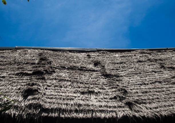 thatched roof on blue sky background in the sunny day