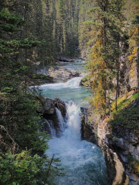 istock Johnston Canyon Hiking Trail views around Upper and Lower Falls, Banff National Park, Canadian Rockies, Alberta, Canada 856435188