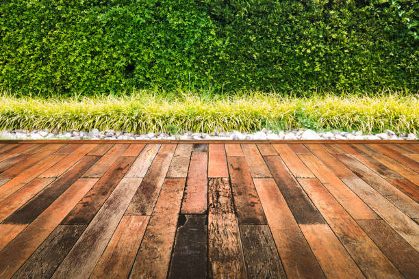 istock Green leaves wall with old wood floor in the garden. 856438050