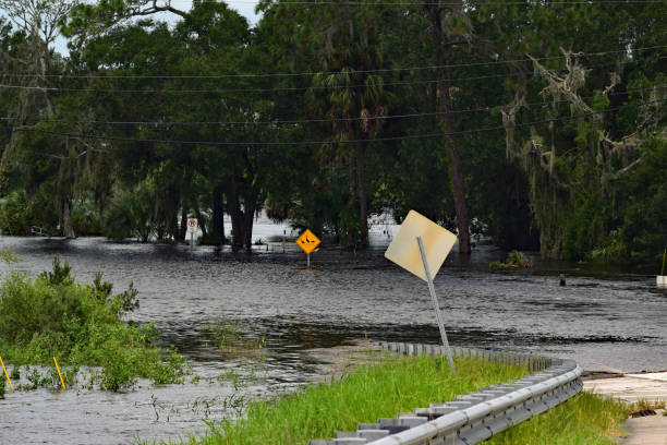 istock Flooded Street Hurricane Damage 856451788