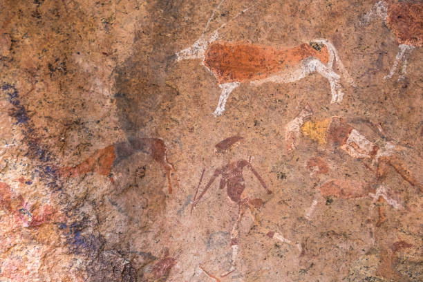 pitture rupestri bushmen nella zona del massiccio di brandberg, namibia - erongo foto e immagini stock