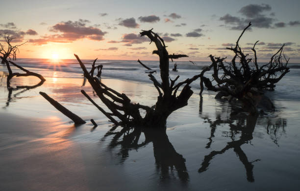 istock sunrise on Boneyard Beach in South Carolina 856462304