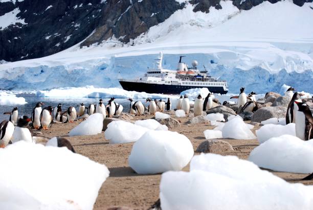 Cтоковое фото Антарктическая экспедиция