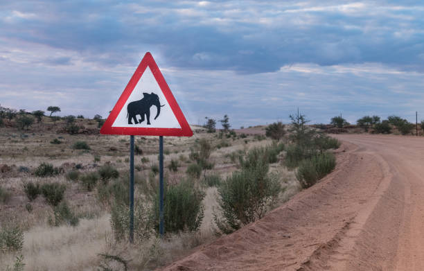 istock On the road in Northwestern Namibia, between the Branderg Massif and Twyfelfontain 856466112