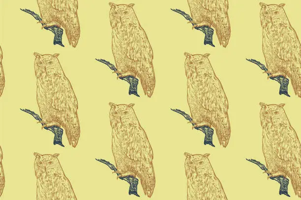 Vector illustration of Seamless pattern of siberian eagle owl background