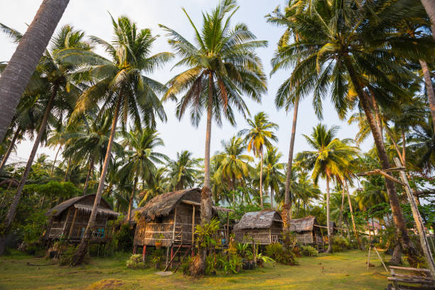 istock Beautiful tropical forest at island Koh Chang 856470112
