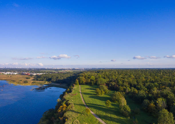 istock Areal view green forest with sea 856472886