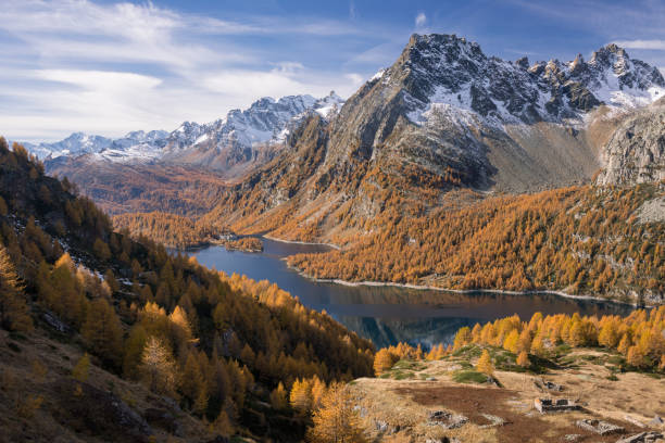 istock Scenics dam lake landscape with larches forest on mountain in sunny autumn fall day outdoor 856475018