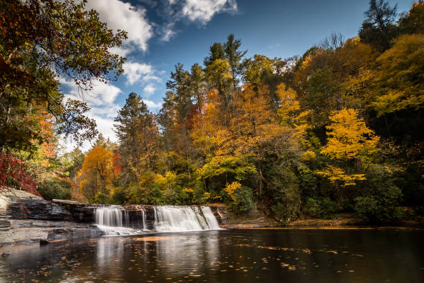 chute d’eau dans une forêt en couleurs d’automne - dupont state forest photos et images de collection