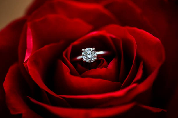 Valentines Day Rose with a diamond engagement ring in the center