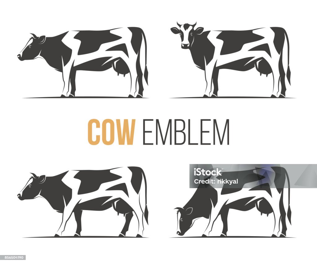 Vector set of a stylish spotted holstein cows. Emblem, icon, label designs. Cow stock vector