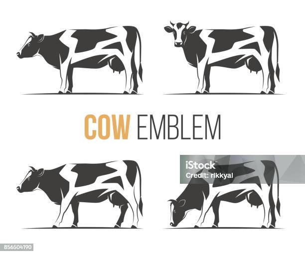 Vector Set Of A Stylish Spotted Holstein Cows Emblem Icon Label Designs Stock Illustration - Download Image Now