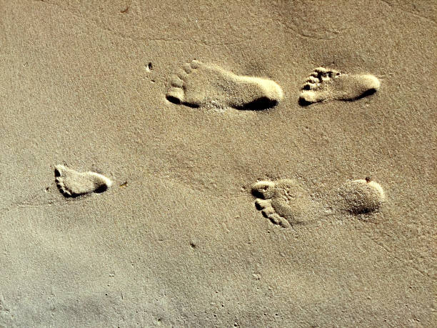 istock Footprints of a family 856508854
