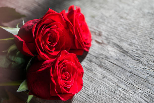 istock Red roses on wood 856511842