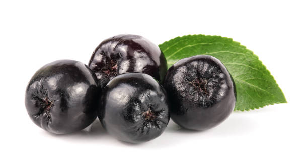 istock Chokeberry with leaf isolated on white background. Black aronia berries 856514630