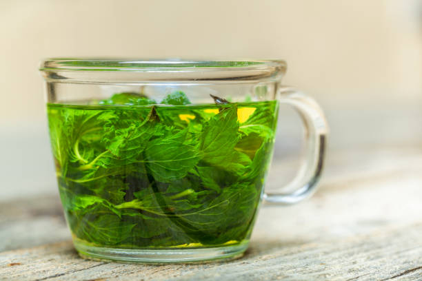 istock Freshly made mint tea on the wooden table 856515024