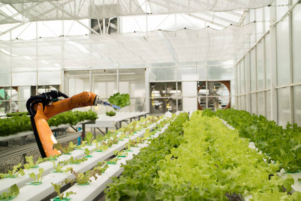 istock smart robotic in agriculture futuristic concept, robot farmers (automation) must be programmed to work in the vertical or indoor farm for increase efficiency, growing a seed, harvesting, reduce time 856517656