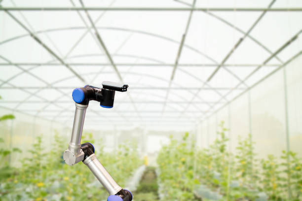 istock smart robotic in agriculture concept, robot farmers (automation) must be programmed to work in the vertical or indoor farm for increase efficiency, growing a seed, harvesting, monitoring insect or bug 856517660