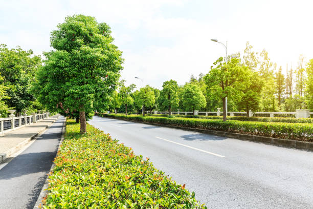 istock Country asphalt road through the green forest 856518052