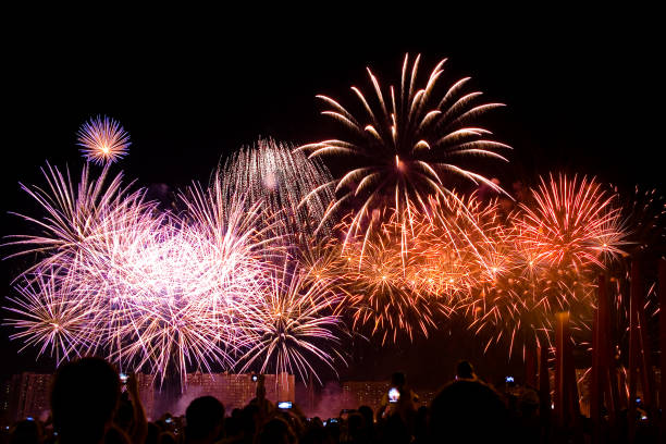 istock Beautiful colorful fireworks in the night sky. 856519136