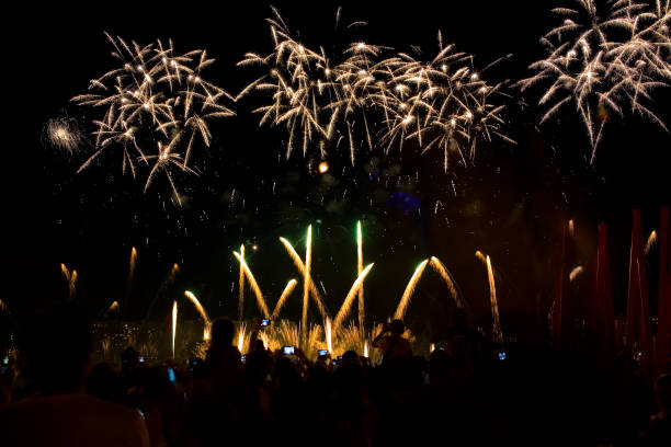 istock Beautiful colorful fireworks in the night sky. 856519182