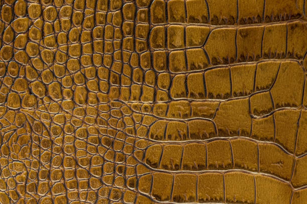 istock texture of the skin yellow 856522162