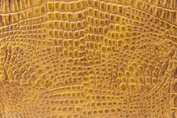 istock texture of the skin yellow 856522198