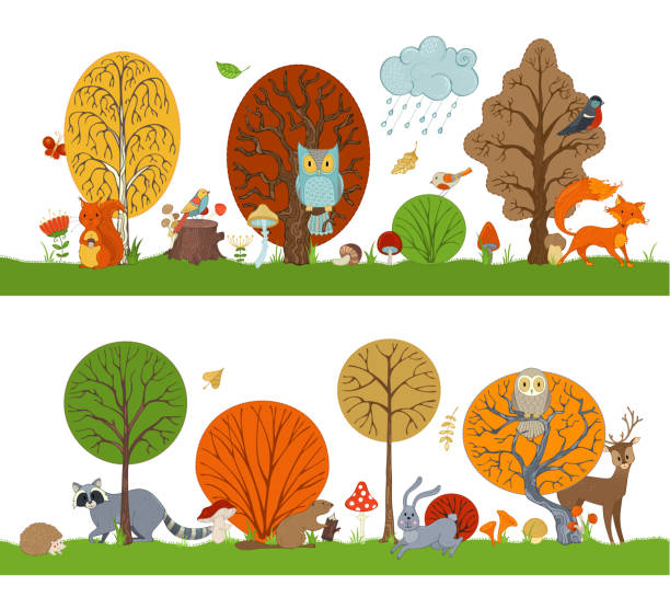 Vector forest set with autumn trees, cute animals and birds. Hare, fox, beaver, squirrel, deer, raccoon, owl, hedgehog, mushrooms and flowers made in cartoon style. Autumn weather. Falling leaves. woodland park zoo stock illustrations