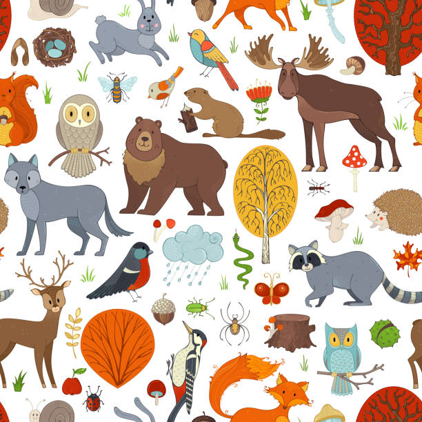 Vector woodland seamless pattern. Autumn trees, mushrooms and leaves. Wild animals, birds and insects. Fox, wolf, deer, moose, bear, hare, squirrel, racoon, hedgehog, owl, bee, beaver, snail and snake. woodland park zoo stock illustrations