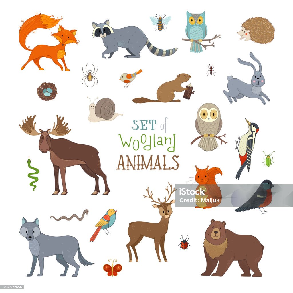 Ilustración de Vector Conjunto De Animales Del Bosque En Estilo De Dibujos  Animados y más Vectores Libres de Derechos de Animal - iStock