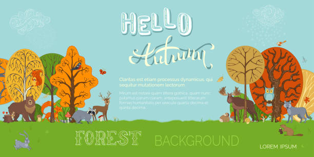 Woodland_06-04 Vector forest background in cartoon style. Adorable woodland wild animals and birds in forest. Fox, moose, deer, hare, squirrel, racoon, hedgehog, owl, beaver between autumn trees. woodland park zoo stock illustrations