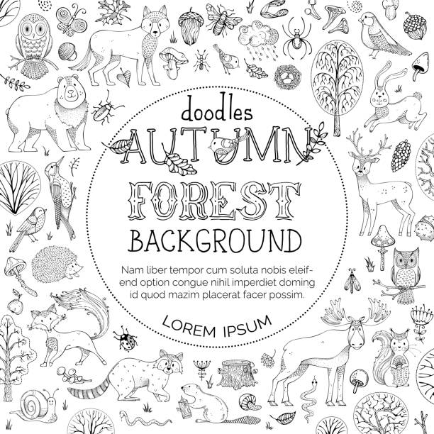 Vector doodles autumn forest background. Hand-drawn woodland animals. Autumn trees and bushes. Elk, fox, wolf, owl, bear, deer, squirrel, hedgehog, racoon and other mammals and birds. Round frame. background of a owl black and white stock illustrations