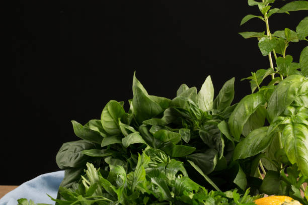 Fresh and aromatic herbs on a black background. Organic, healthful branches of parsley and basil for greek salad.