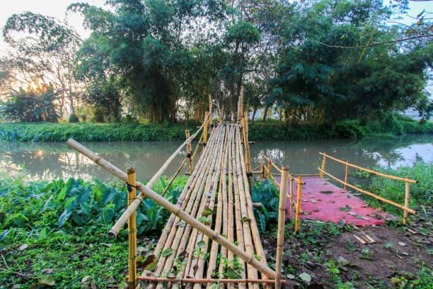 istock Morning mist,bamboo bridge across Kok River,Chiang Rai,Thailand. 856529454