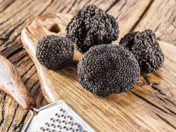 istock Black truffles on the old wooden table. 856530284