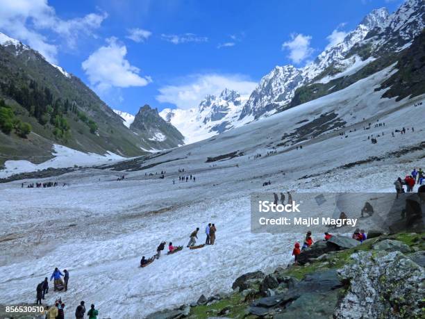 Thajiwas Glacier Sonamarg Kashmir India Stock Photo - Download Image Now - Glacier, Asia, Himalayas