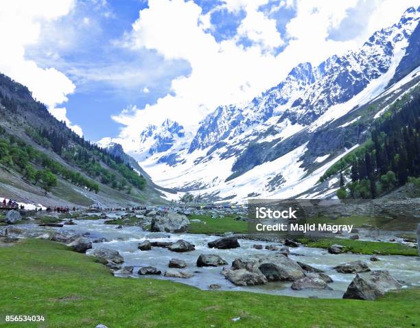 Thajiwas Glacier Sonamarg Kashmir India Stock Photo - Download Image Now - Asia, Himalayas, Horizontal