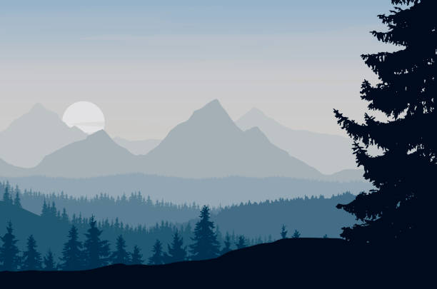 illustrazioni stock, clip art, cartoni animati e icone di tendenza di vista panoramica del paesaggio montano con nebbia nella valle sottostante con il cielo verde alpenglow e il sole nascente - vettore - great smoky mountains illustrations